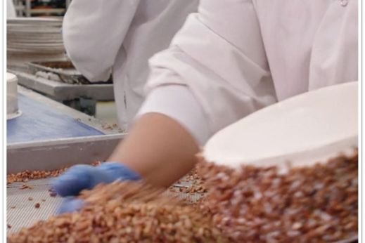 Workers coating carrot cake